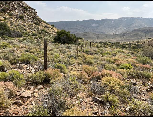 1,175HA FARM FOR SALE IN PRINCE ALBERT RURAL